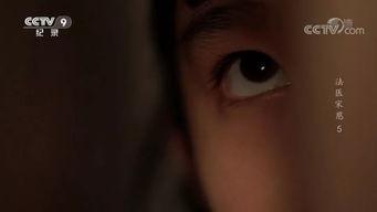 国产重口味视频